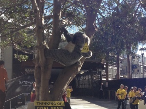 koala in Sydney